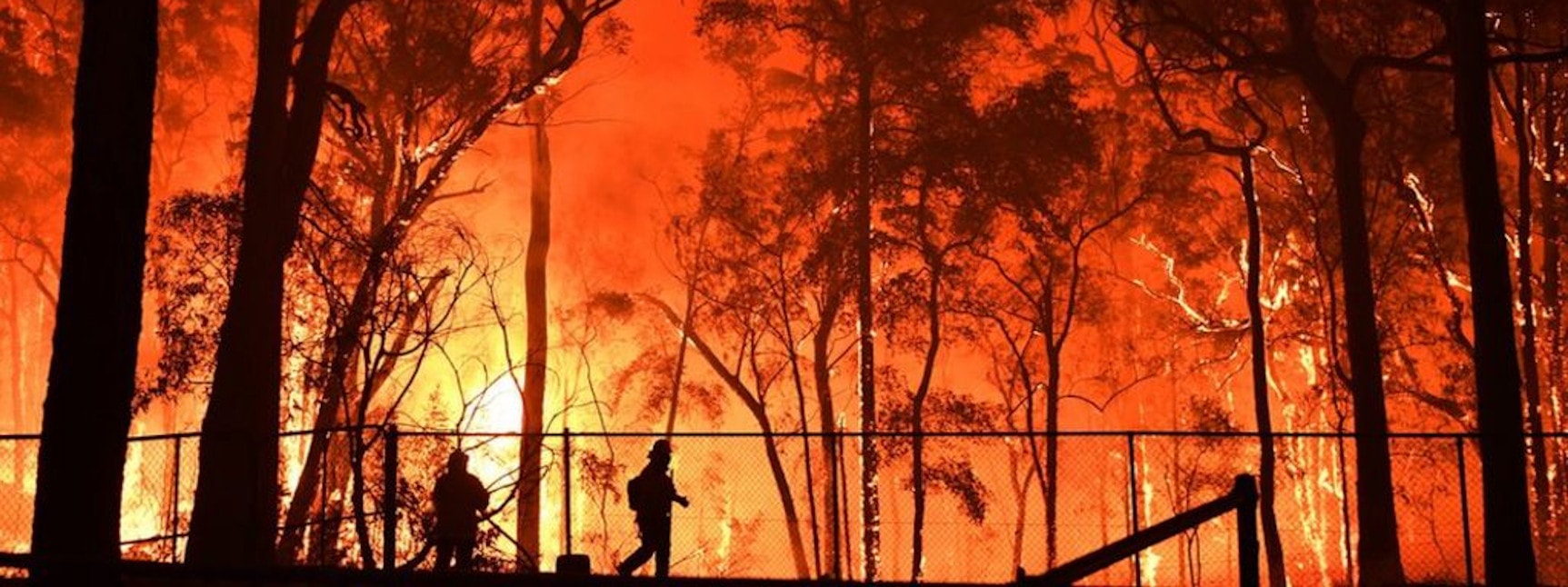 Construction of Buildings in Bushfire-Prone Areas